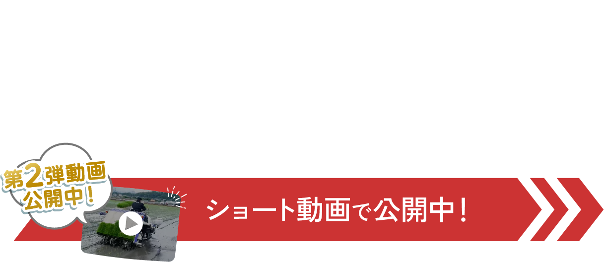 全国各地に拡がっています！ペースト施肥田植機。ショート動画で公開中！