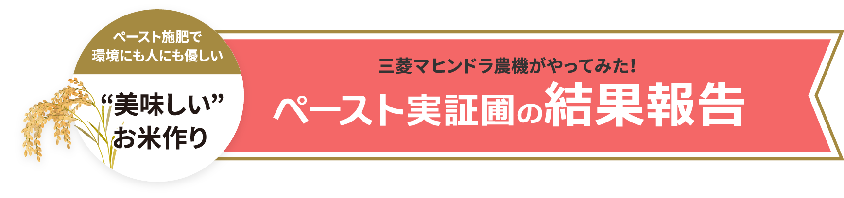 三菱マヒンドラ農機がやってみた！ペースト実証圃の結果報告