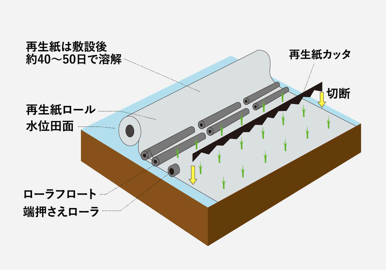 紙マルチ田植とは