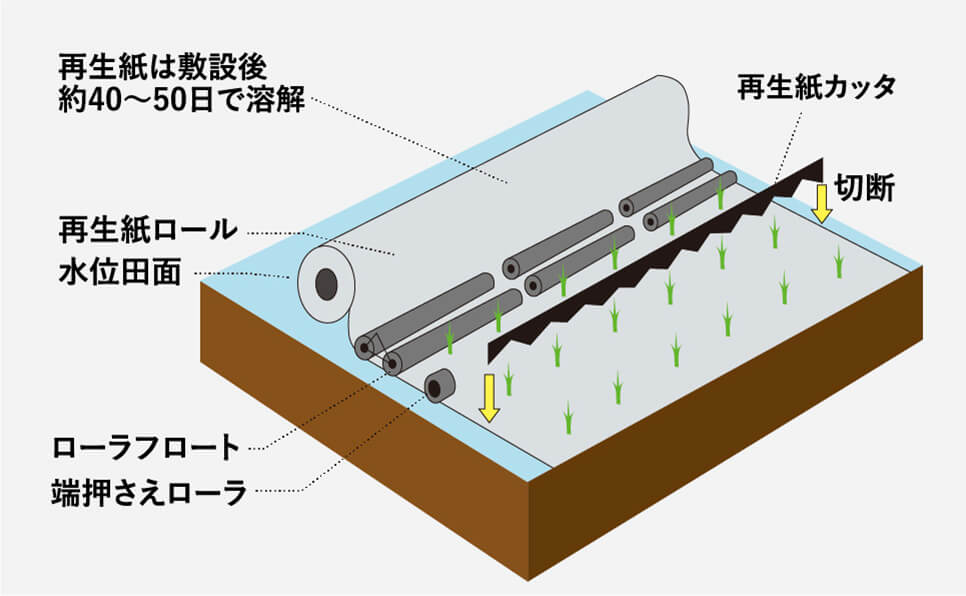 紙マルチ田植えの仕組み