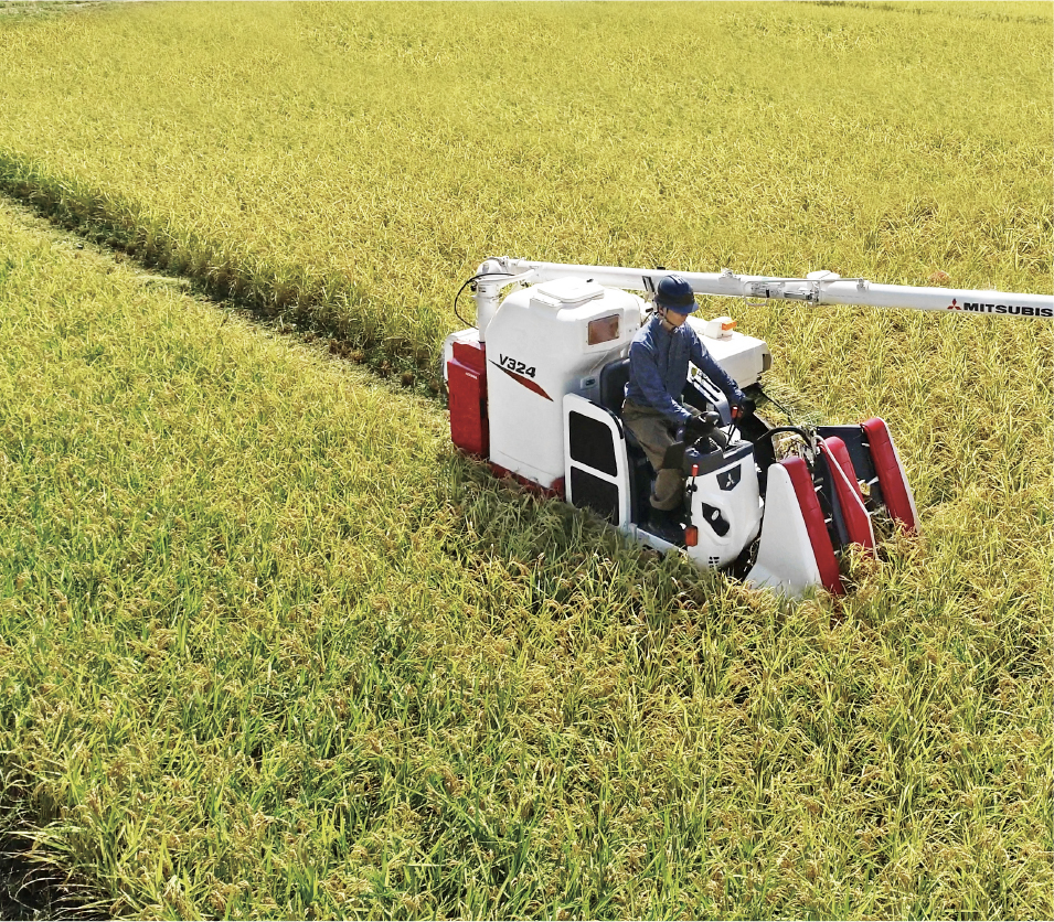 刈取性能｜Combine V221・322・324｜コンバイン｜製品情報｜製品