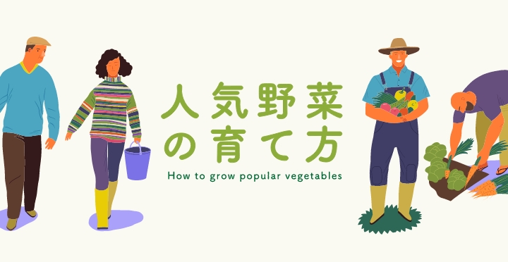 人気野菜の育て方
