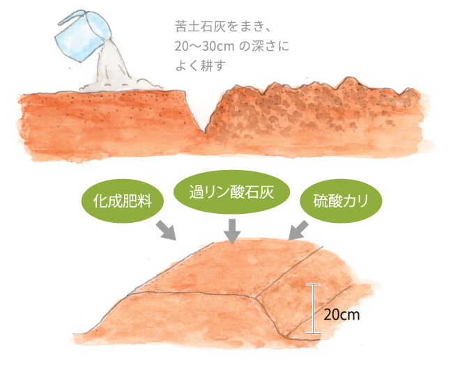 畑の準備