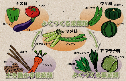 菜園のプランニング はじめよう家庭菜園 手作り菜園 三菱マヒンドラ農機