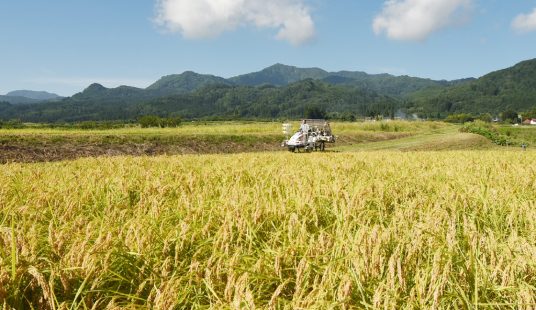 会津最大の有機農業法人が紙マルチ田植え機で目指す未来